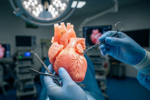 Así es el corazón impreso en 3D que permite a los cirujanos “ensayar” el éxito antes del primer corte