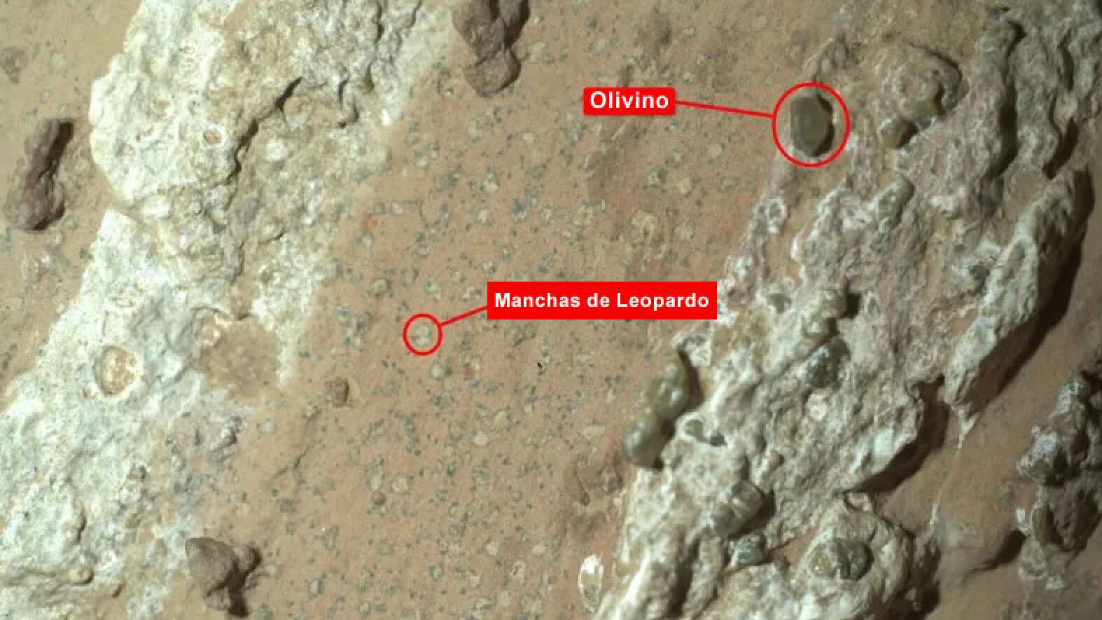 El descubrimiento ha reavivado el debate sobre la habitabilidad de Marte en el pasado y ha proporcionado nuevos datos que podrían ser cruciales para futuras misiones.