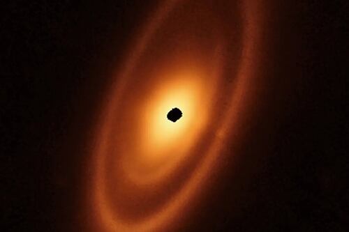 Descubren que Vega, la estrella más brillante del cielo, tiene un disco liso a su alrededor