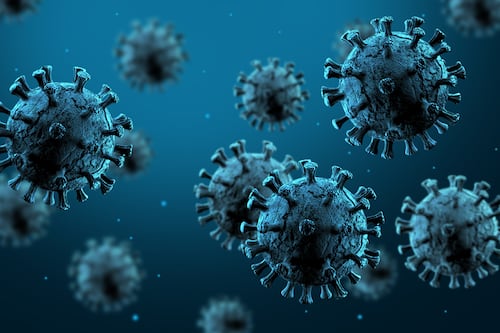 Virus Hanta Andes: Todo lo que México debe saber, respondido por especialistas chilenos
