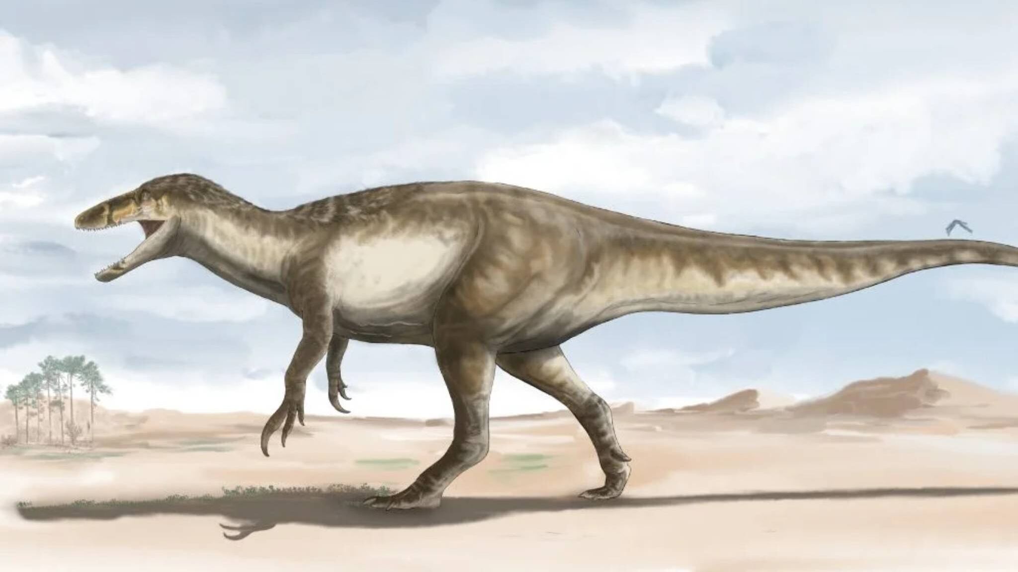 Megarraptor