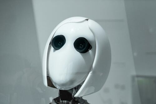 ¿Tu próximo jefe será un robot? Sudáfrica adopta la IA para el trabajo, la escuela y hasta el romance
