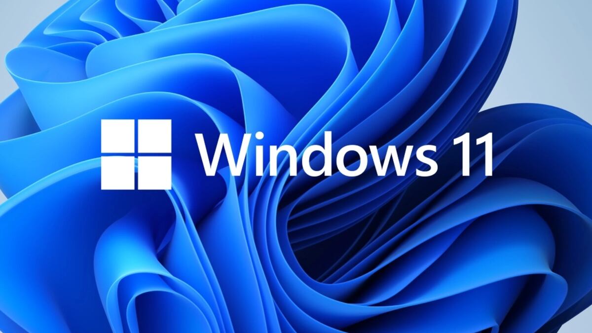 Windows 11