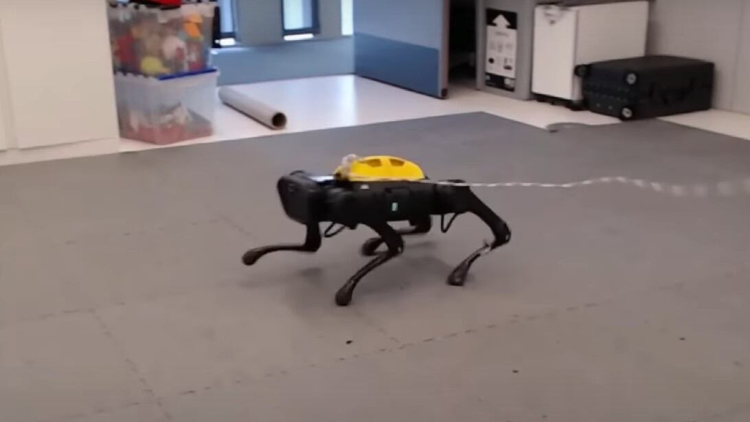 perro robot de la Universidad de California.