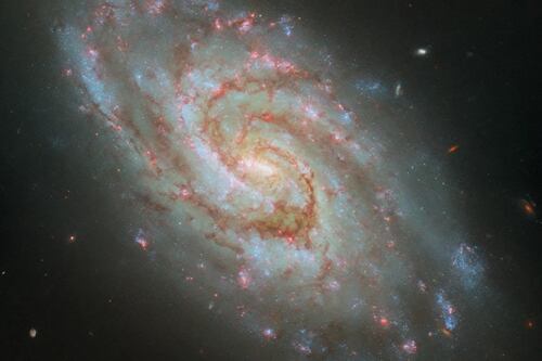 El Hubble capta una estrella brillando como el Sol dentro de una galaxia espiral a 45 millones de años luz de la Tierra