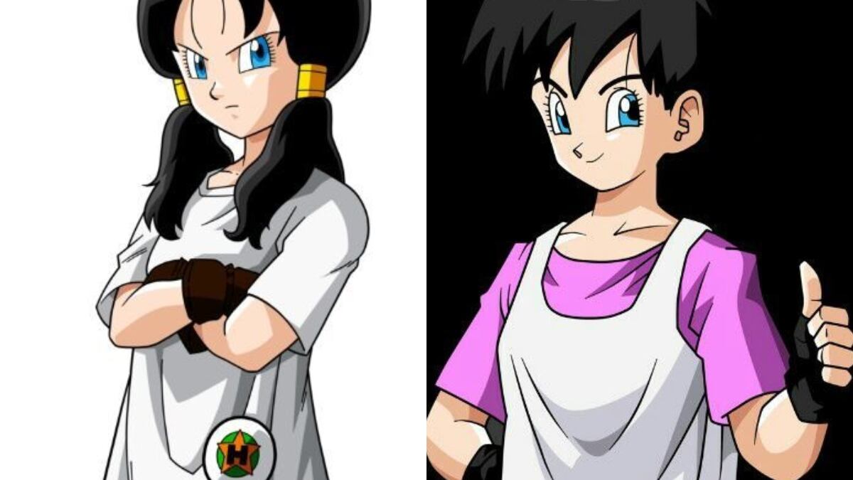 Videl Dragon Ball