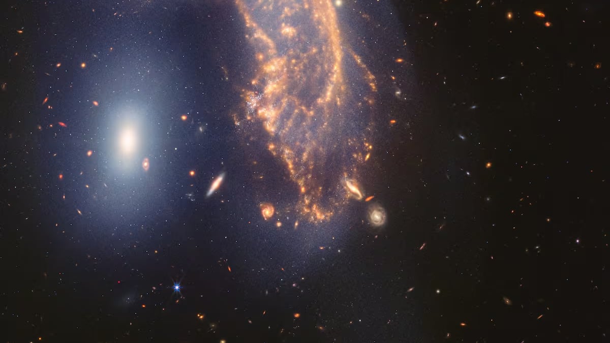 El pingüino y el huevo