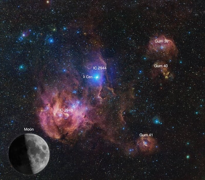 Nebulosa Pollo Corredor. Foto cortesía de ESO