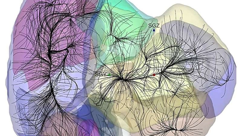 Concentración de Shapley