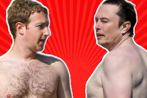 El biógrafo de Elon Musk dice que no habrá pelea con Mark Zuckerberg: “Es una metáfora”