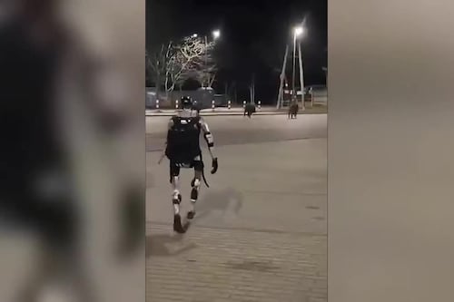Robot humanoide “Edward Warchocki” se vuelve viral en Polonia tras perseguir jabalíes