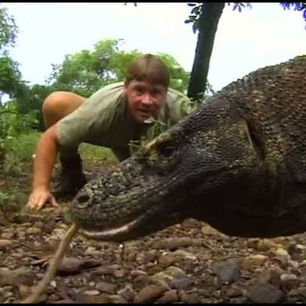 Steve Irwin, el “cazador de cocodrilos” que murió desangrado por el ataque  de una raya