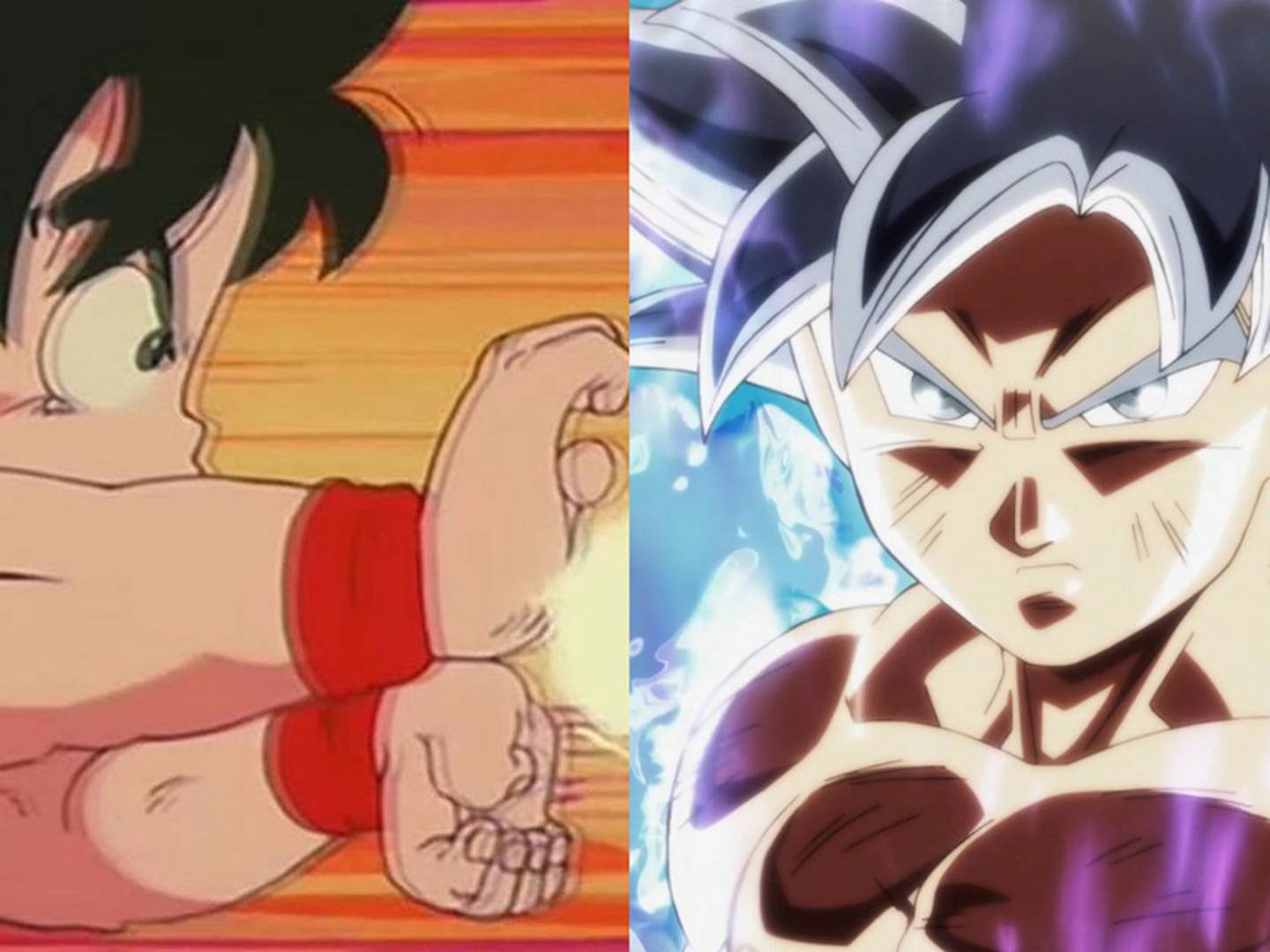 Desde el Kame Hame Ha hasta el Ultra Instinto: Estas son todas las técnicas  de Goku en Dragon Ball – FayerWayer