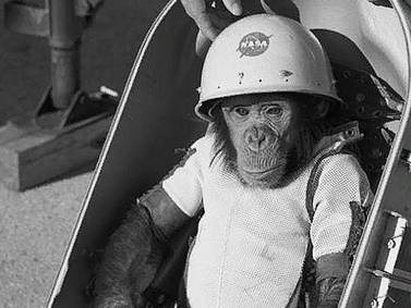 La NASA tuvo un chimpacé astronauta: esta es la historia de Ham, el primate que hizo historia