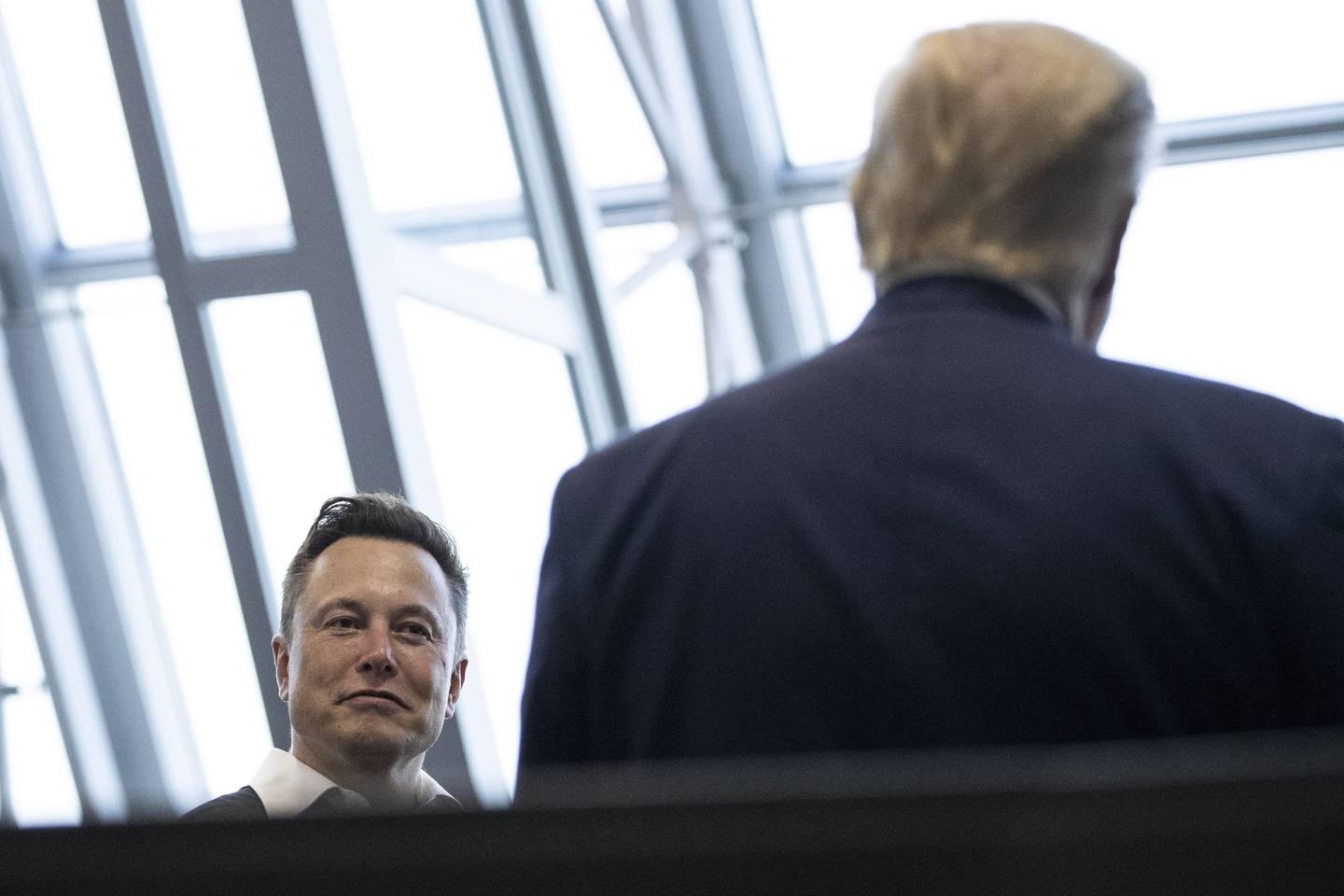 Is the purchase of a new social network coming? Donald Trump confirms the ties and collaborations that unite him with Elon Musk