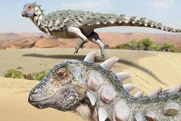 Jakapil Kaniukura: así era el primer dinosaurio acorazado bípedo de Sudamérica, del tamaño de un perro
